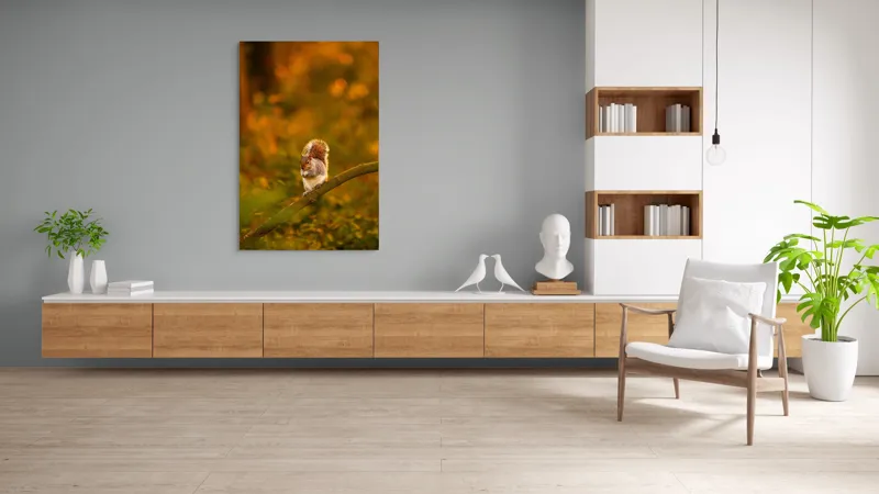 Tablou Canvas, "Veveriță pe creangă la apus", Veveriță, Ramură, Pădure, Apus, Căldură, Frunziș, Toamnă, Liniște, Blană, Auriu, 100 x 150 cm – poza 8