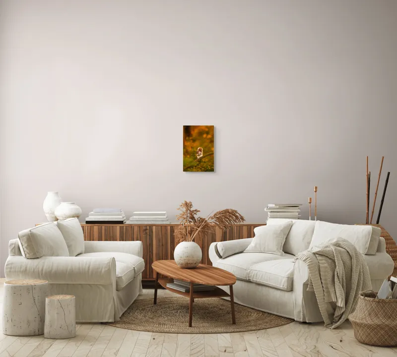 Tablou Canvas, "Veveriță pe creangă la apus", Veveriță, Ramură, Pădure, Apus, Căldură, Frunziș, Toamnă, Liniște, Blană, Auriu, 26 x 39 cm – poza 7
