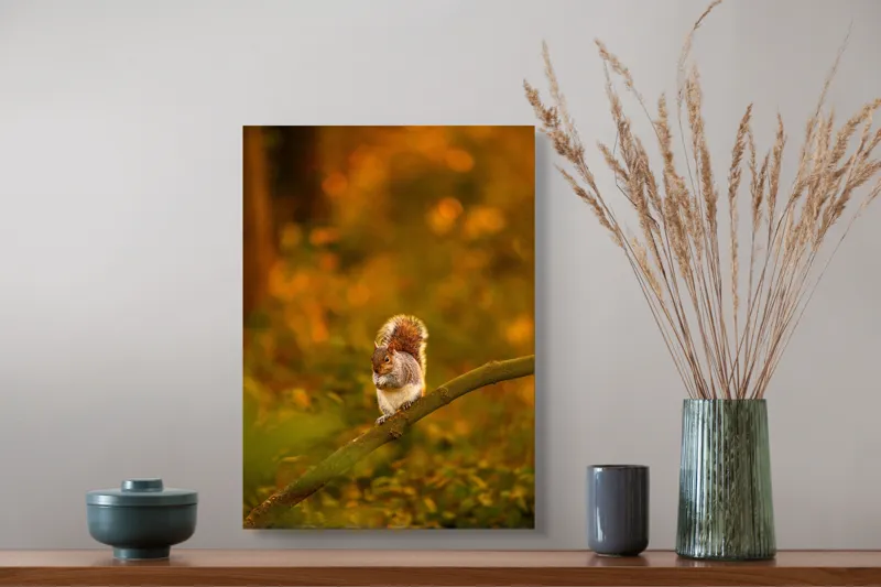 Tablou Canvas, "Veveriță pe creangă la apus", Veveriță, Ramură, Pădure, Apus, Căldură, Frunziș, Toamnă, Liniște, Blană, Auriu, 39 x 54 cm – poza 3