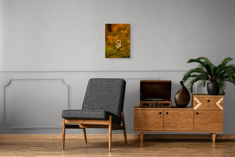 Tablou Canvas, "Veveriță pe creangă la apus", Veveriță, Ramură, Pădure, Apus, Căldură, Frunziș, Toamnă, Liniște, Blană, Auriu, 39 x 54 cm – poza 8