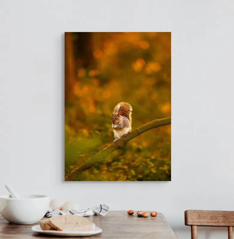 Tablou Canvas, "Veveriță pe creangă la apus", Veveriță, Ramură, Pădure, Apus, Căldură, Frunziș, Toamnă, Liniște, Blană, Auriu, 50 x 70 cm – poza 3