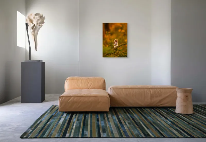 Tablou Canvas, "Veveriță pe creangă la apus", Veveriță, Ramură, Pădure, Apus, Căldură, Frunziș, Toamnă, Liniște, Blană, Auriu, 50 x 70 cm – poza 7