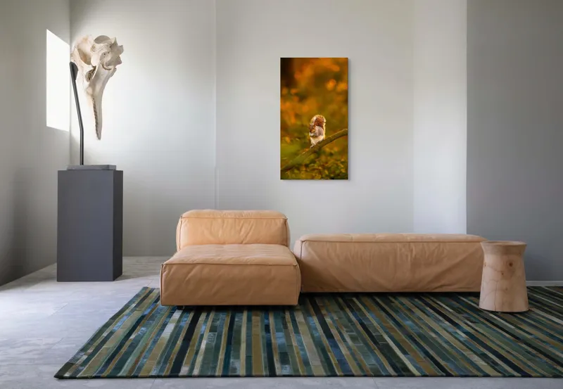 Tablou Canvas, "Veveriță pe creangă la apus", Veveriță, Ramură, Pădure, Apus, Căldură, Frunziș, Toamnă, Liniște, Blană, Auriu, 50 x 90 cm – poza 5