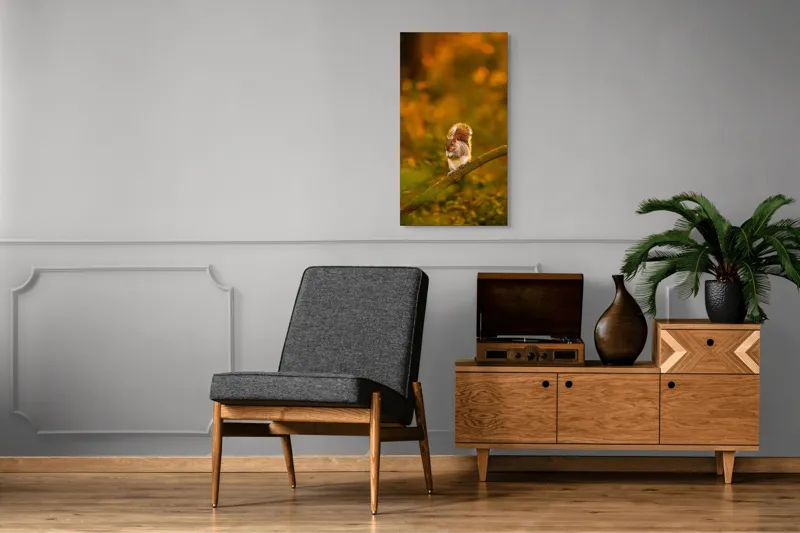 Tablou Canvas, "Veveriță pe creangă la apus", Veveriță, Ramură, Pădure, Apus, Căldură, Frunziș, Toamnă, Liniște, Blană, Auriu, 50 x 90 cm – poza 8
