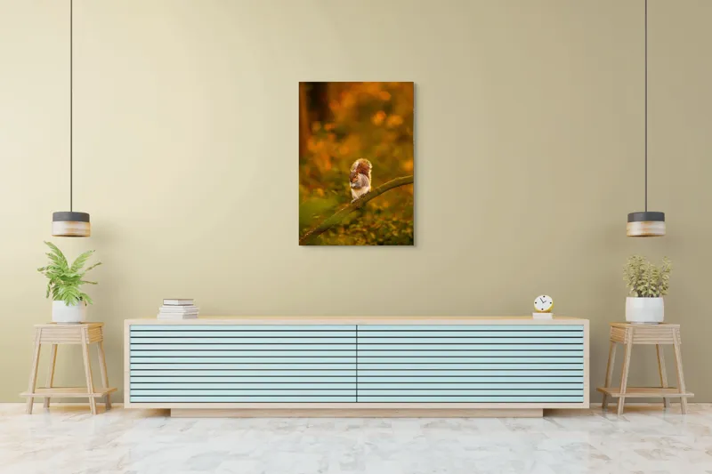 Tablou Canvas, "Veveriță pe creangă la apus", Veveriță, Ramură, Pădure, Apus, Căldură, Frunziș, Toamnă, Liniște, Blană, Auriu, 70 x 100 cm – poza 5