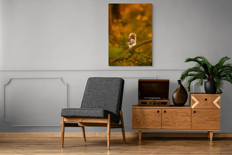 Tablou Canvas, "Veveriță pe creangă la apus", Veveriță, Ramură, Pădure, Apus, Căldură, Frunziș, Toamnă, Liniște, Blană, Auriu, 70 x 100 cm – poza 6