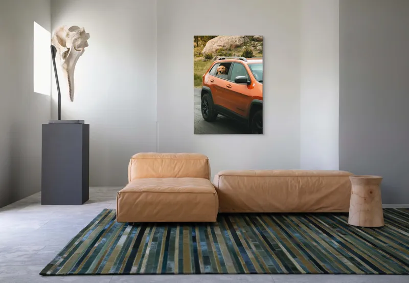 Tablou Canvas, "Câinele călător în mașina portocalie", Câine, Mașină, Portocalie, Geam, Natură, Pietre, Drum, Pădure, 70 x 100 cm – poza 7
