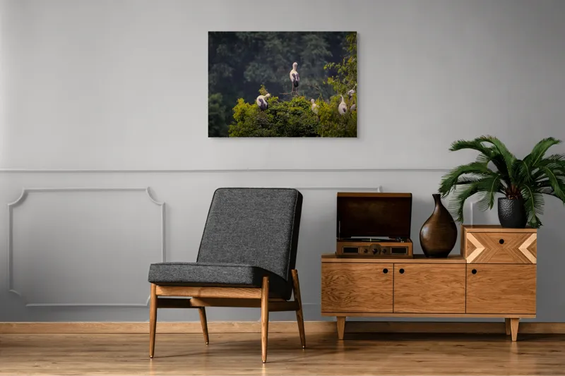 Tablou Canvas, "Berze pe culmea pădurii verzi", Pasari, Copaci, Verdeata, Natura, Liniste, Armonie, Peisaj, Frumusete, 100 x 70 cm – poza 8