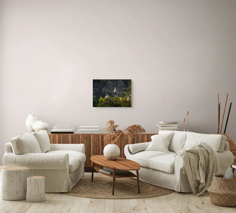Tablou Canvas, "Berze pe culmea pădurii verzi", Pasari, Copaci, Verdeata, Natura, Liniste, Armonie, Peisaj, Frumusete, 54 x 39 cm – poza 5