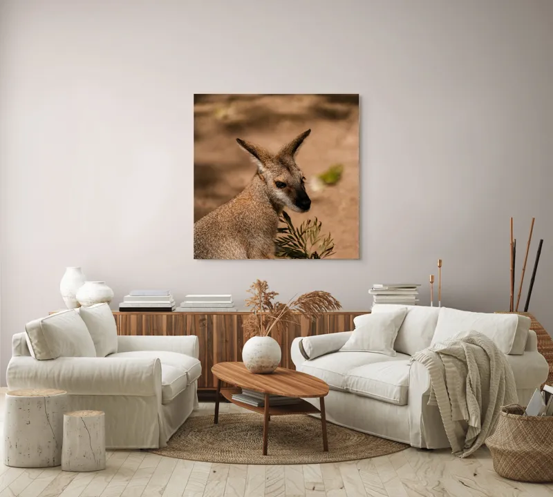 Tablou Canvas, Cangur, Frunze, Pământ, Urechi, Ochi, Blană, Soare, Umbră, 100 x 100 cm – poza 3