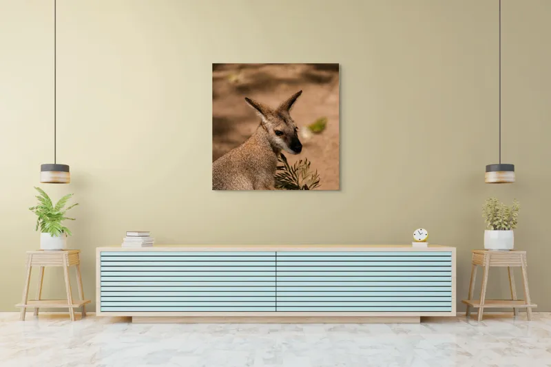 Tablou Canvas, Cangur, Frunze, Pământ, Urechi, Ochi, Blană, Soare, Umbră, 100 x 100 cm – poza 5