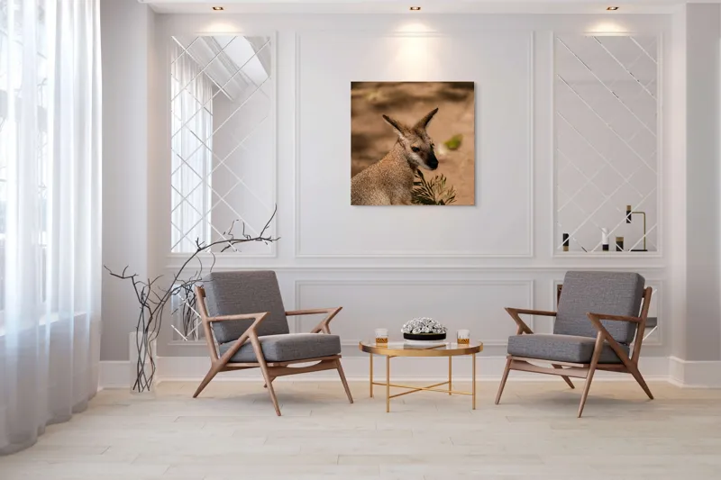 Tablou Canvas, Cangur, Frunze, Pământ, Urechi, Ochi, Blană, Soare, Umbră, 100 x 100 cm – poza 7
