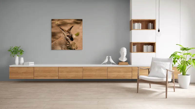 Tablou Canvas, Cangur, Frunze, Pământ, Urechi, Ochi, Blană, Soare, Umbră, 100 x 100 cm – poza 8