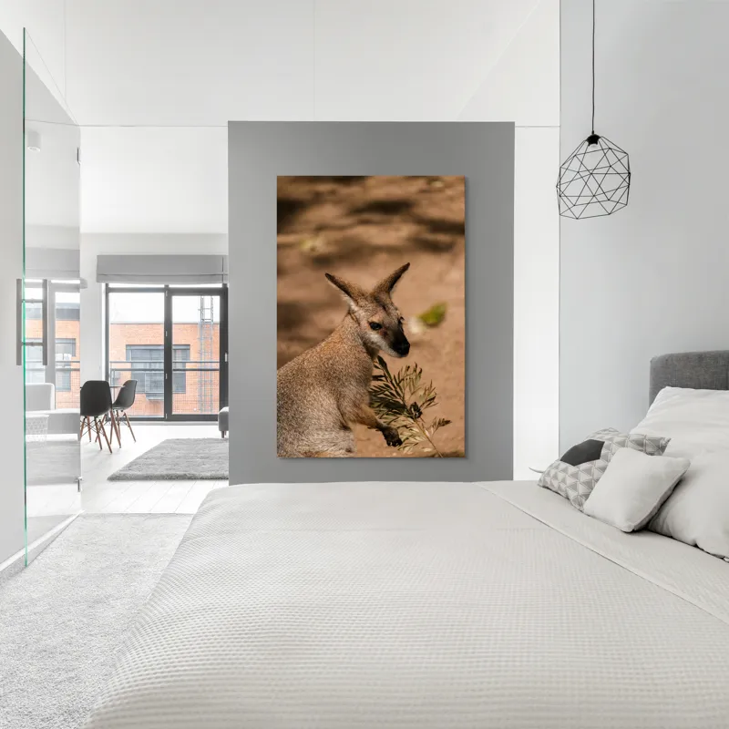 Tablou Canvas, Cangur, Frunze, Pământ, Urechi, Ochi, Blană, Soare, Umbră, 100 x 150 cm – poza 5
