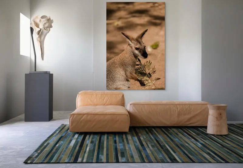 Tablou Canvas, Cangur, Frunze, Pământ, Urechi, Ochi, Blană, Soare, Umbră, 100 x 150 cm – poza 7