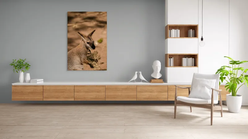 Tablou Canvas, Cangur, Frunze, Pământ, Urechi, Ochi, Blană, Soare, Umbră, 100 x 150 cm – poza 8