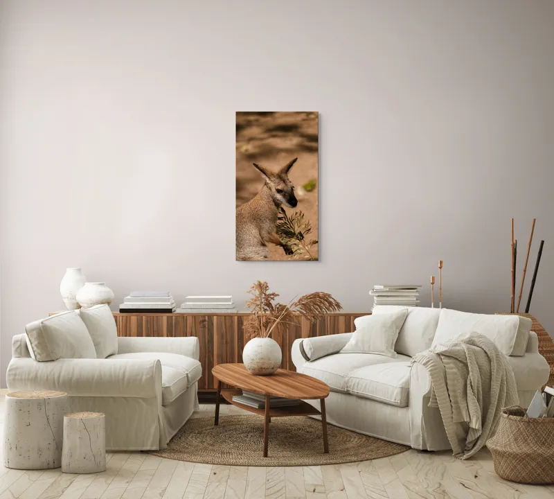 Tablou Canvas, Cangur, Frunze, Pământ, Urechi, Ochi, Blană, Soare, Umbră, 50 x 90 cm – poza 7