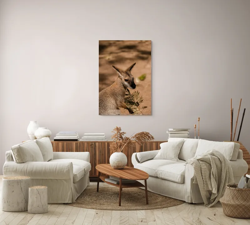 Tablou Canvas, Cangur, Frunze, Pământ, Urechi, Ochi, Blană, Soare, Umbră, 70 x 100 cm – poza 4
