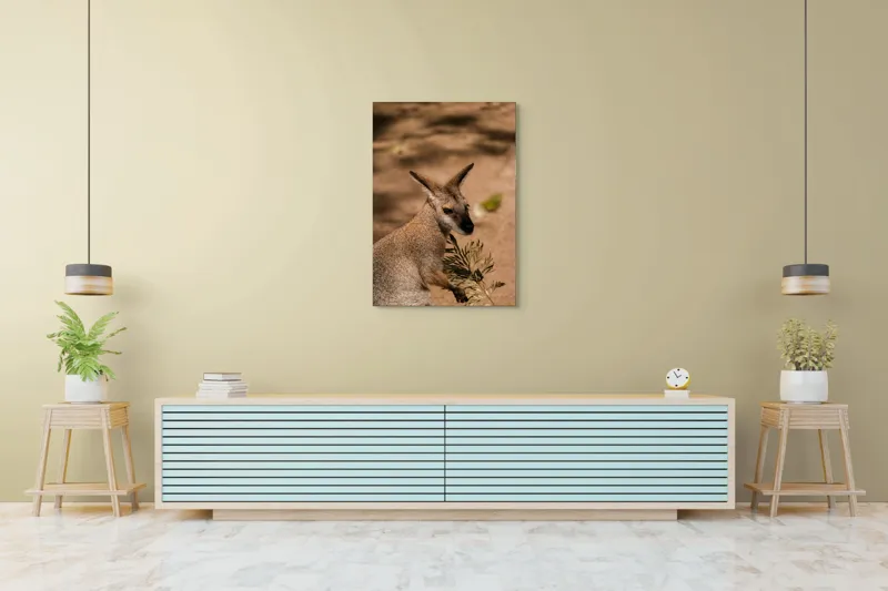 Tablou Canvas, Cangur, Frunze, Pământ, Urechi, Ochi, Blană, Soare, Umbră, 70 x 100 cm – poza 5