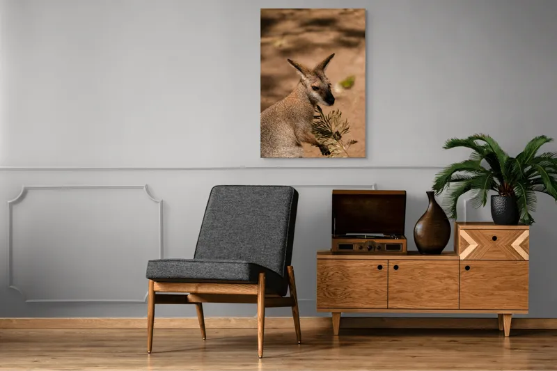 Tablou Canvas, Cangur, Frunze, Pământ, Urechi, Ochi, Blană, Soare, Umbră, 70 x 100 cm – poza 6