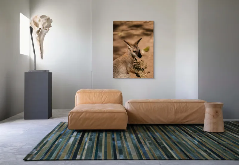 Tablou Canvas, Cangur, Frunze, Pământ, Urechi, Ochi, Blană, Soare, Umbră, 70 x 100 cm – poza 7