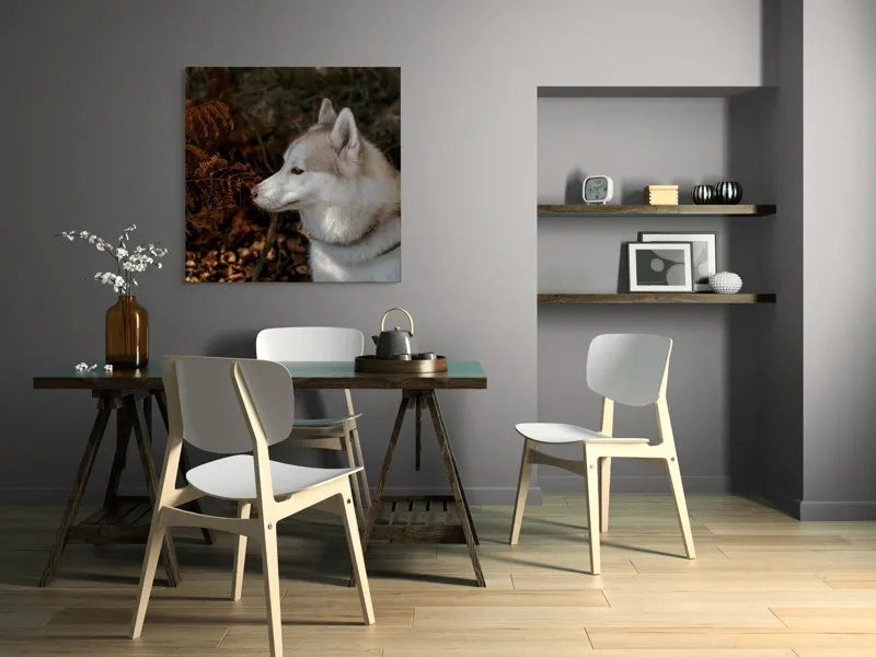 Tablou Canvas, "Husky privind frunzele ruginii ale toamnei", Câine, Blană, Urechi, Focăit, Natură, Ferigă, Toamnă, Lumină, Umbră, Tranquilitate, 100 x 100 cm – poza 6