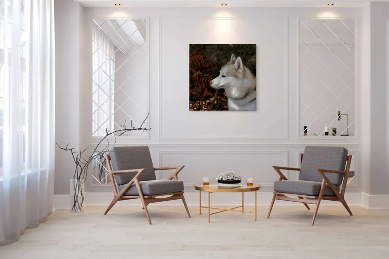Tablou Canvas, "Husky privind frunzele ruginii ale toamnei", Câine, Blană, Urechi, Focăit, Natură, Ferigă, Toamnă, Lumină, Umbră, Tranquilitate, 100 x 100 cm – poza 7
