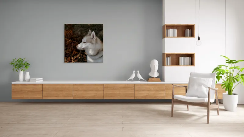 Tablou Canvas, "Husky privind frunzele ruginii ale toamnei", Câine, Blană, Urechi, Focăit, Natură, Ferigă, Toamnă, Lumină, Umbră, Tranquilitate, 100 x 100 cm – poza 8
