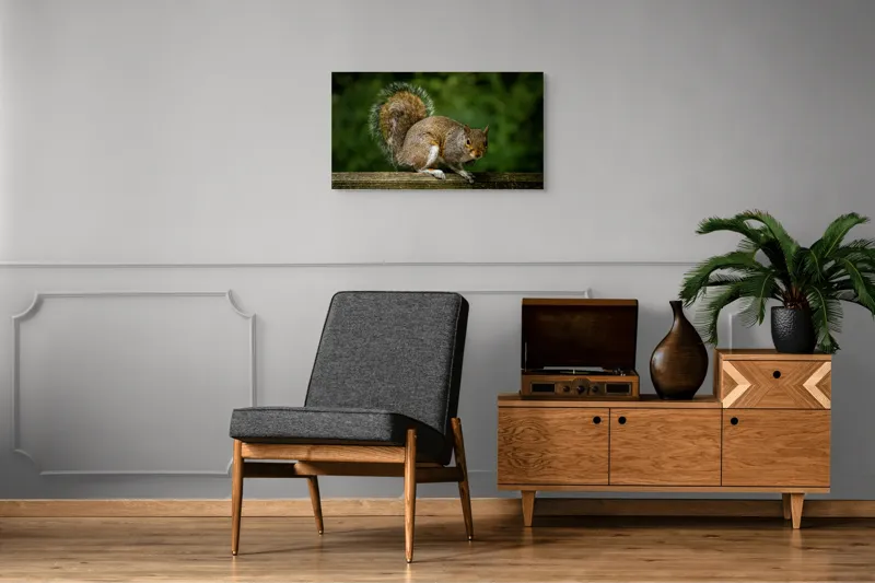 Tablou Canvas, "Veverița curajoasă pe gard verde", Arbust, Blană, Coadă, Lemn, Zburdalnicie, 90 x 50 cm – poza 6