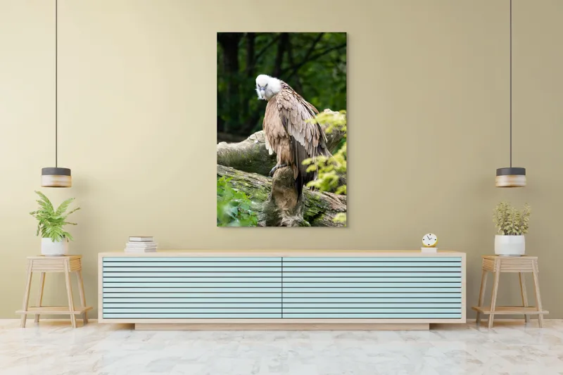 Tablou Canvas, "Pasăre prădătoare odihnindu-se pe trunchi", Pasăre, Vultur, Penaj, Cioc, Stâncă, Pene, Natură, Verdeață, Copaci, Privire., 100 x 150 cm – poza 4