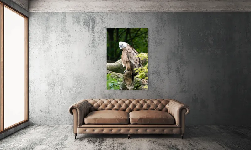 Tablou Canvas, "Pasăre prădătoare odihnindu-se pe trunchi", Pasăre, Vultur, Penaj, Cioc, Stâncă, Pene, Natură, Verdeață, Copaci, Privire., 100 x 150 cm – poza 6