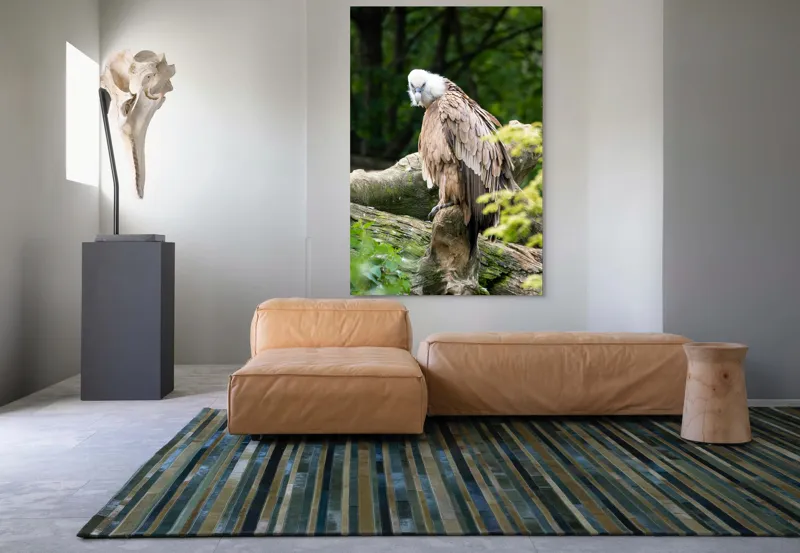 Tablou Canvas, "Pasăre prădătoare odihnindu-se pe trunchi", Pasăre, Vultur, Penaj, Cioc, Stâncă, Pene, Natură, Verdeață, Copaci, Privire., 100 x 150 cm – poza 7