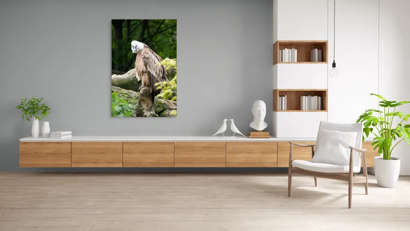 Tablou Canvas, "Pasăre prădătoare odihnindu-se pe trunchi", Pasăre, Vultur, Penaj, Cioc, Stâncă, Pene, Natură, Verdeață, Copaci, Privire., 100 x 150 cm – poza 8