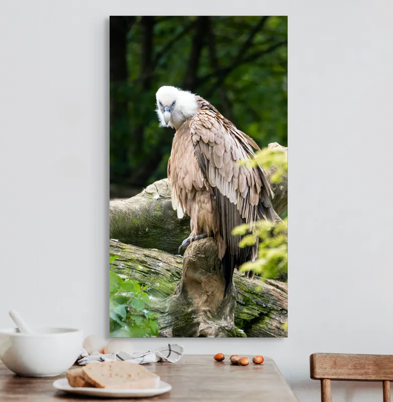 Tablou Canvas, "Pasăre prădătoare odihnindu-se pe trunchi", Pasăre, Vultur, Penaj, Cioc, Stâncă, Pene, Natură, Verdeață, Copaci, Privire., 50 x 90 cm – poza 3