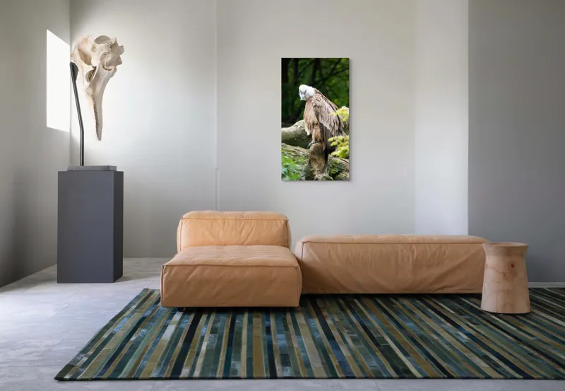 Tablou Canvas, "Pasăre prădătoare odihnindu-se pe trunchi", Pasăre, Vultur, Penaj, Cioc, Stâncă, Pene, Natură, Verdeață, Copaci, Privire., 50 x 90 cm – poza 5