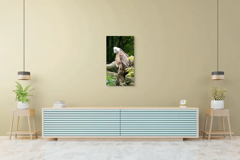 Tablou Canvas, "Pasăre prădătoare odihnindu-se pe trunchi", Pasăre, Vultur, Penaj, Cioc, Stâncă, Pene, Natură, Verdeață, Copaci, Privire., 50 x 90 cm – poza 6