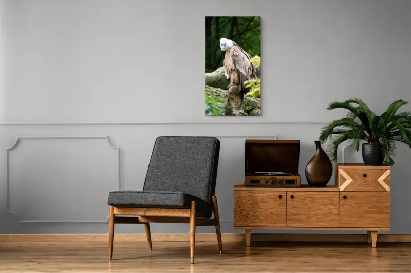 Tablou Canvas, "Pasăre prădătoare odihnindu-se pe trunchi", Pasăre, Vultur, Penaj, Cioc, Stâncă, Pene, Natură, Verdeață, Copaci, Privire., 50 x 90 cm – poza 8