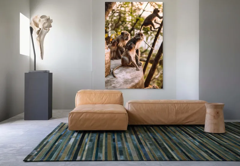 Tablou Canvas, "Maimuțe în lumina apusului liniștit", Maimuțe, Copaci, Apus, Familie, Trunchi, Urcare, Blană, Privește., 100 x 150 cm – poza 7