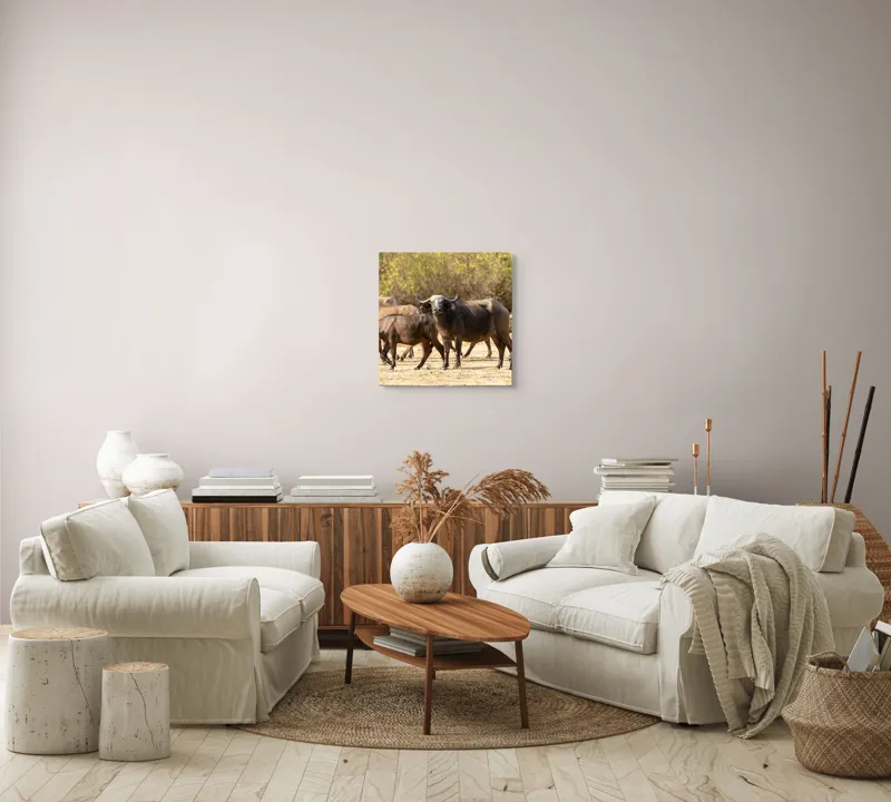 Tablou Canvas, "Turma de bivoli în lumina soarelui", Bivoli, Pășune, Soare, Natură, Coarne, Iarbă, Tufisuri, Animale, Peisaj, Sălbăticie, 50 x 50 cm – poza 7