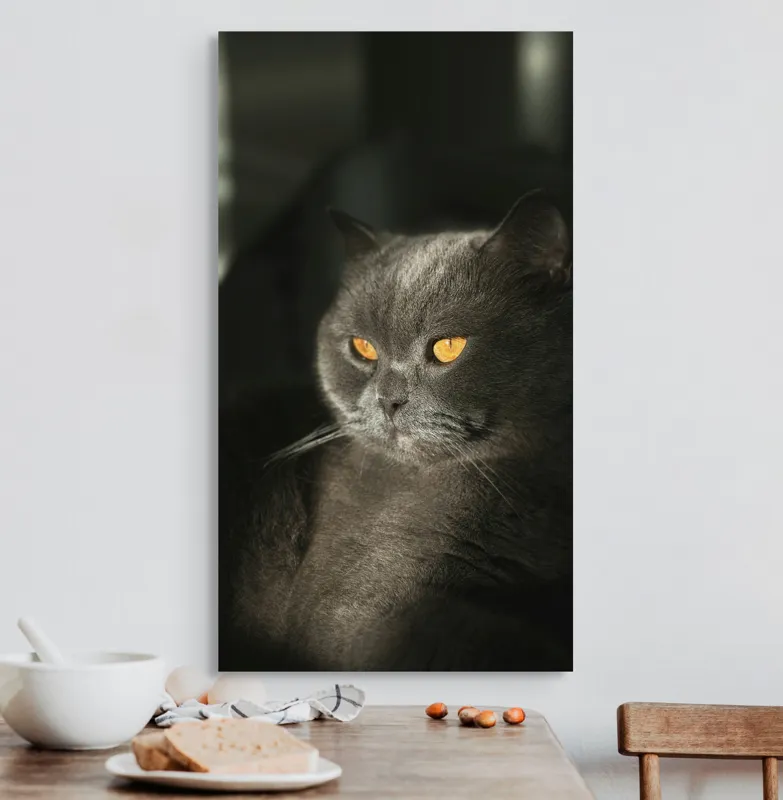 Tablou Canvas, "Pisica regală în lumina apusului", Gri, Ochii, Pisică, Blană, Luminos, Contrast, Calm, Seriozitate, 50 x 90 cm – poza 3