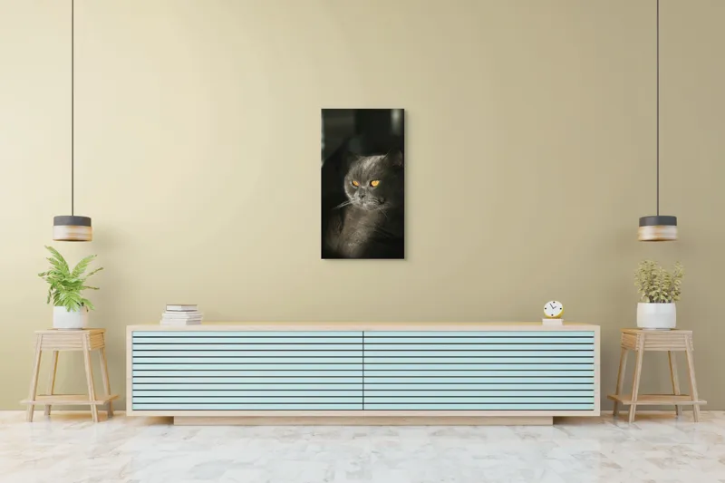 Tablou Canvas, "Pisica regală în lumina apusului", Gri, Ochii, Pisică, Blană, Luminos, Contrast, Calm, Seriozitate, 50 x 90 cm – poza 6