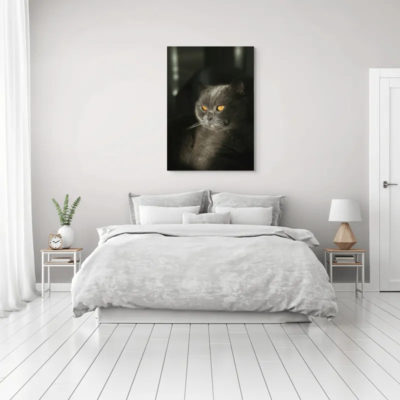 Tablou Canvas, "Pisica regală în lumina apusului", Gri, Ochii, Pisică, Blană, Luminos, Contrast, Calm, Seriozitate, 70 x 100 cm – poza 3