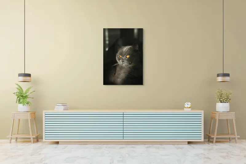 Tablou Canvas, "Pisica regală în lumina apusului", Gri, Ochii, Pisică, Blană, Luminos, Contrast, Calm, Seriozitate, 70 x 100 cm – poza 5