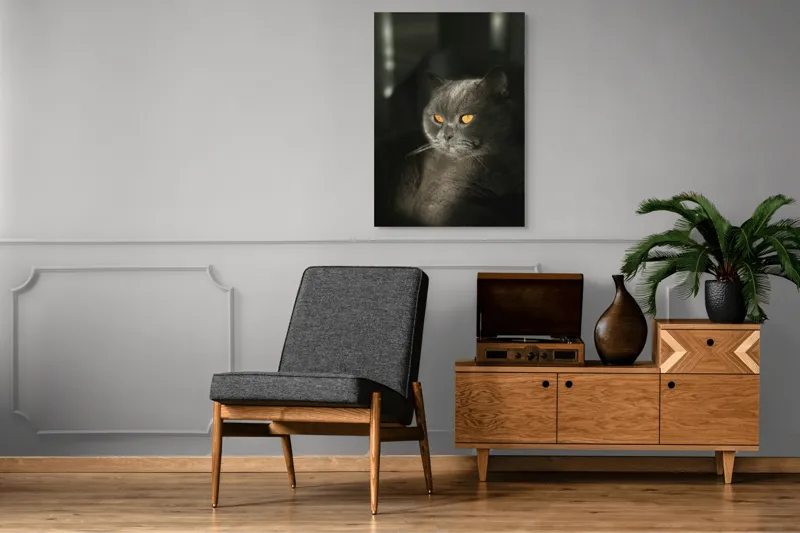 Tablou Canvas, "Pisica regală în lumina apusului", Gri, Ochii, Pisică, Blană, Luminos, Contrast, Calm, Seriozitate, 70 x 100 cm – poza 6