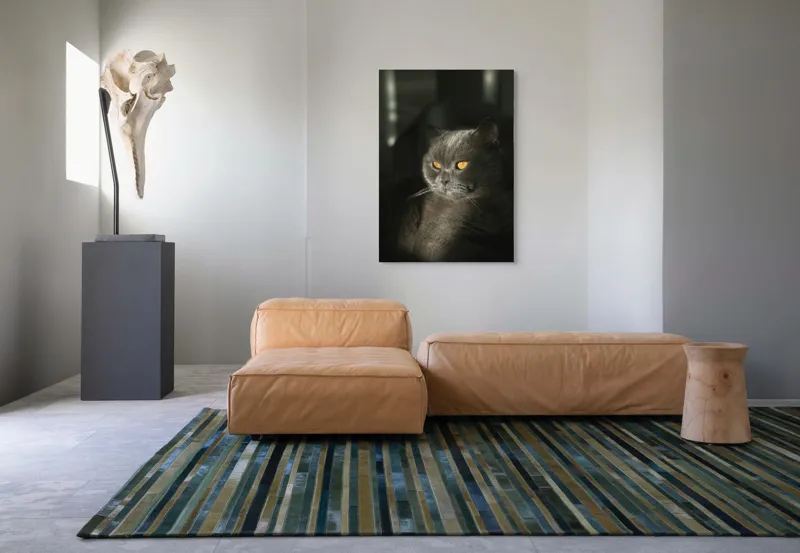 Tablou Canvas, "Pisica regală în lumina apusului", Gri, Ochii, Pisică, Blană, Luminos, Contrast, Calm, Seriozitate, 70 x 100 cm – poza 7