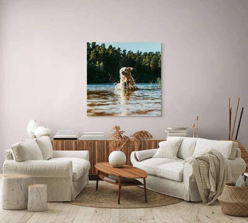 Tablou Canvas, "Aventura unui câine în apă", Câine, Apă, Stropi, Pădure, Soare, Entuziasm, Libertate, Natură, Râu, Cățel, 100 x 100 cm – poza 3