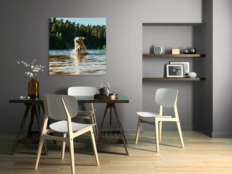 Tablou Canvas, "Aventura unui câine în apă", Câine, Apă, Stropi, Pădure, Soare, Entuziasm, Libertate, Natură, Râu, Cățel, 100 x 100 cm – poza 6