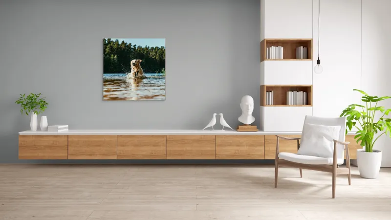 Tablou Canvas, "Aventura unui câine în apă", Câine, Apă, Stropi, Pădure, Soare, Entuziasm, Libertate, Natură, Râu, Cățel, 100 x 100 cm – poza 8