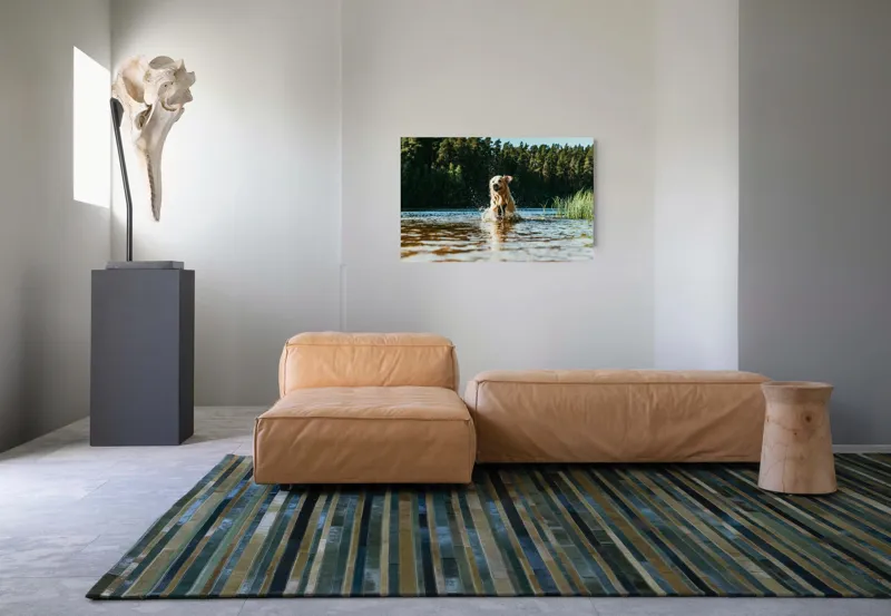 Tablou Canvas, "Aventura unui câine în apă", Câine, Apă, Stropi, Pădure, Soare, Entuziasm, Libertate, Natură, Râu, Cățel, 90 x 50 cm – poza 8