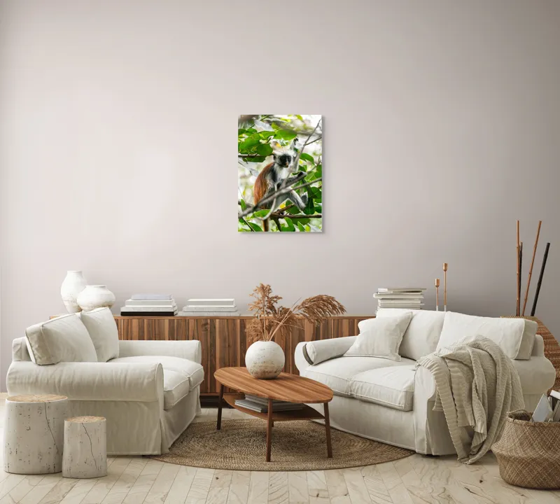 Tablou Canvas, "Maimuța roșie printre frunze verzi", Maimuță, Frunziș, Copac, Blană, Creangă, Privire, Natură, 50 x 70 cm – poza 4